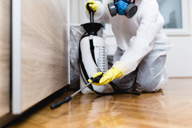 Best Wasp Removal Services  in Lexington, MN