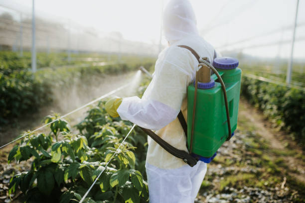 Best Best Pest Control Companies  in Lexington, MN